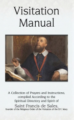 Visitation Manual
